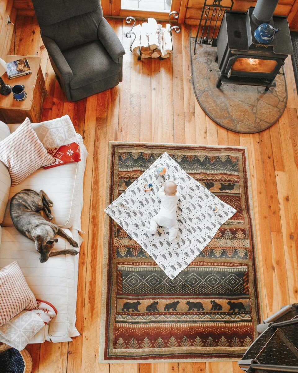 baby and dog in cabin living room