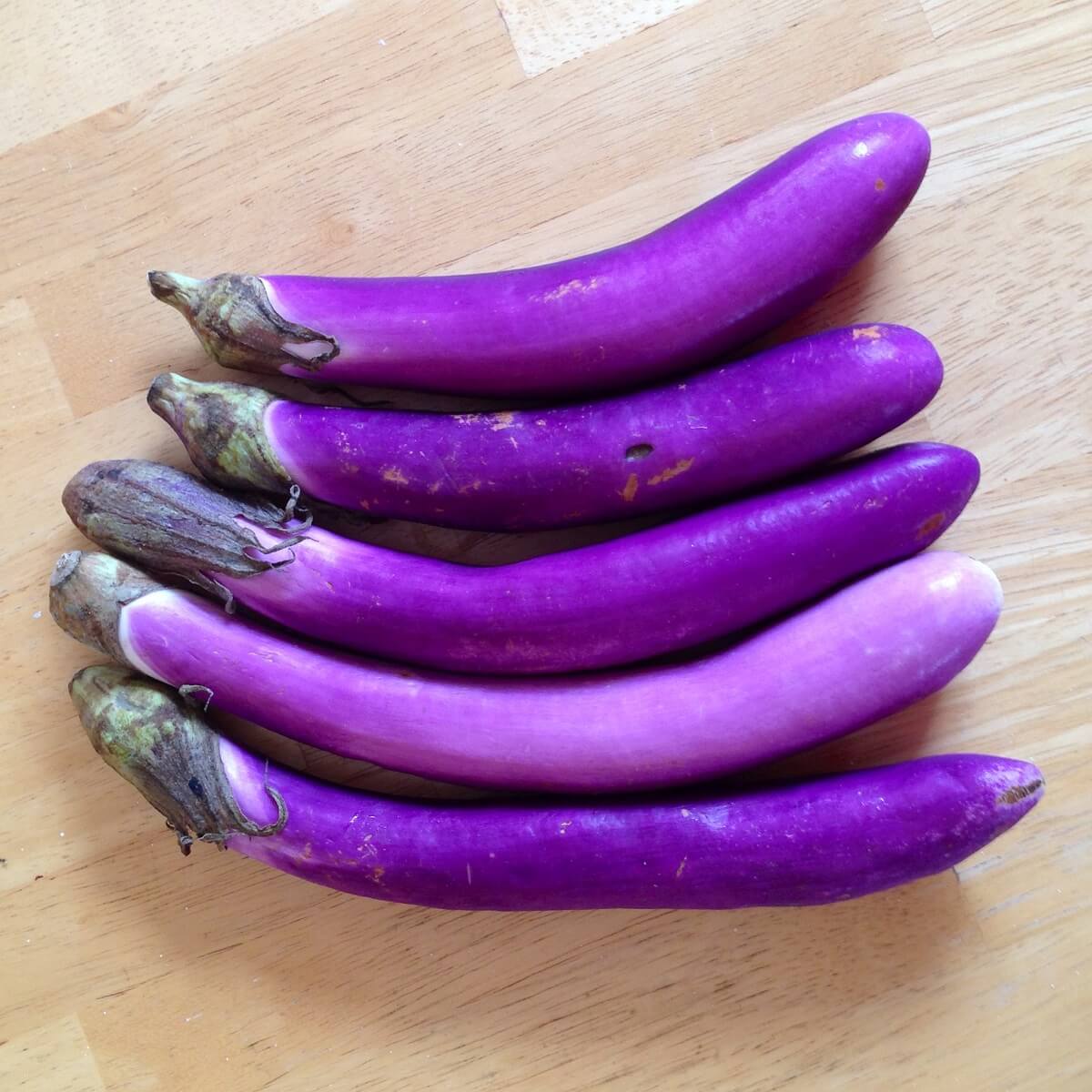 japanese eggplant
