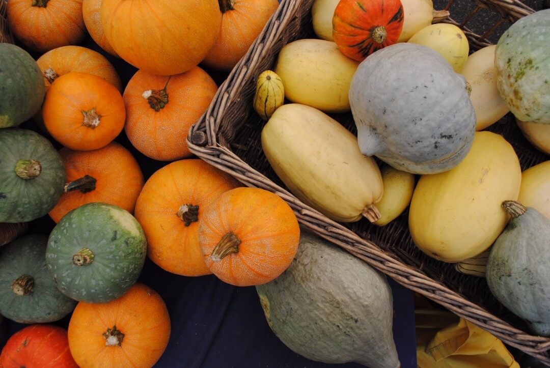 different kinds of squash