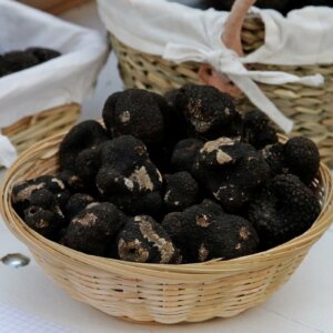 black truffles in basket
