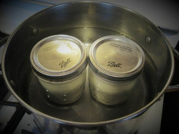 mason jars with homemade yogurt in pot