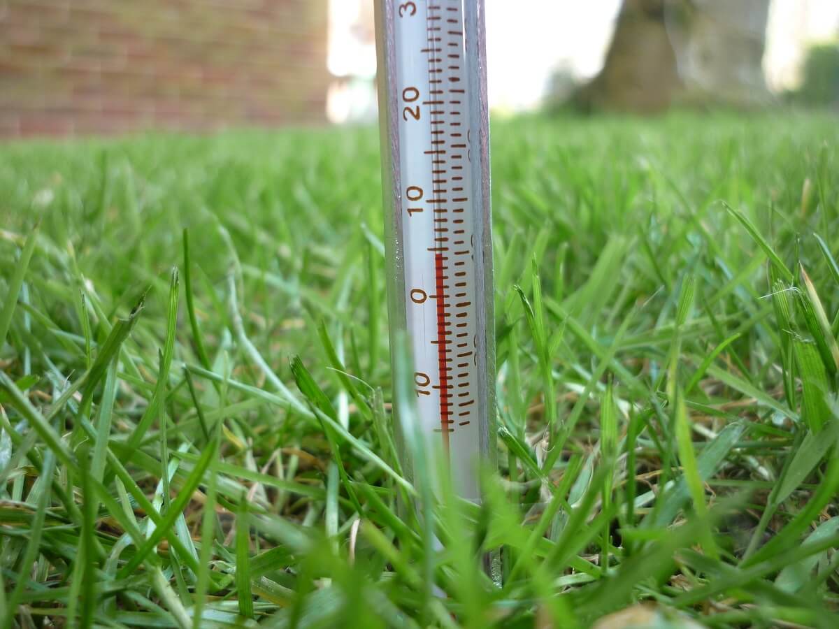 soil thermometer in ground
