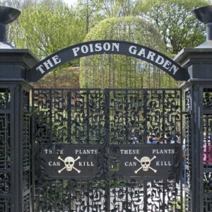 poison garden
