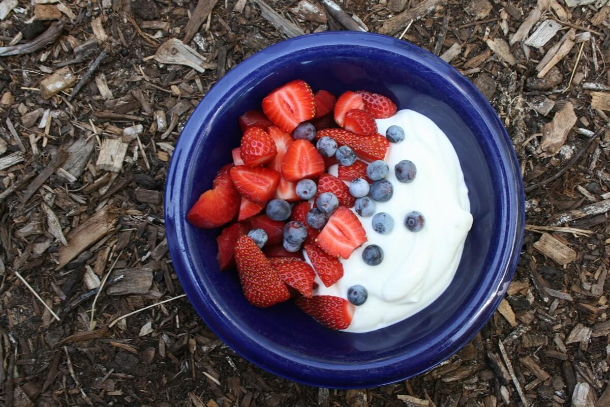 yogurt and berries in bowl