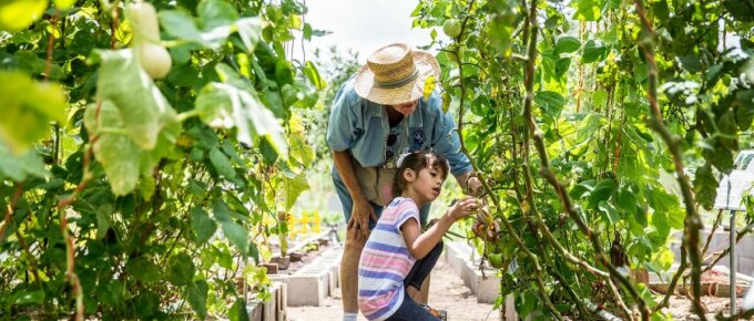 older person and child gardening