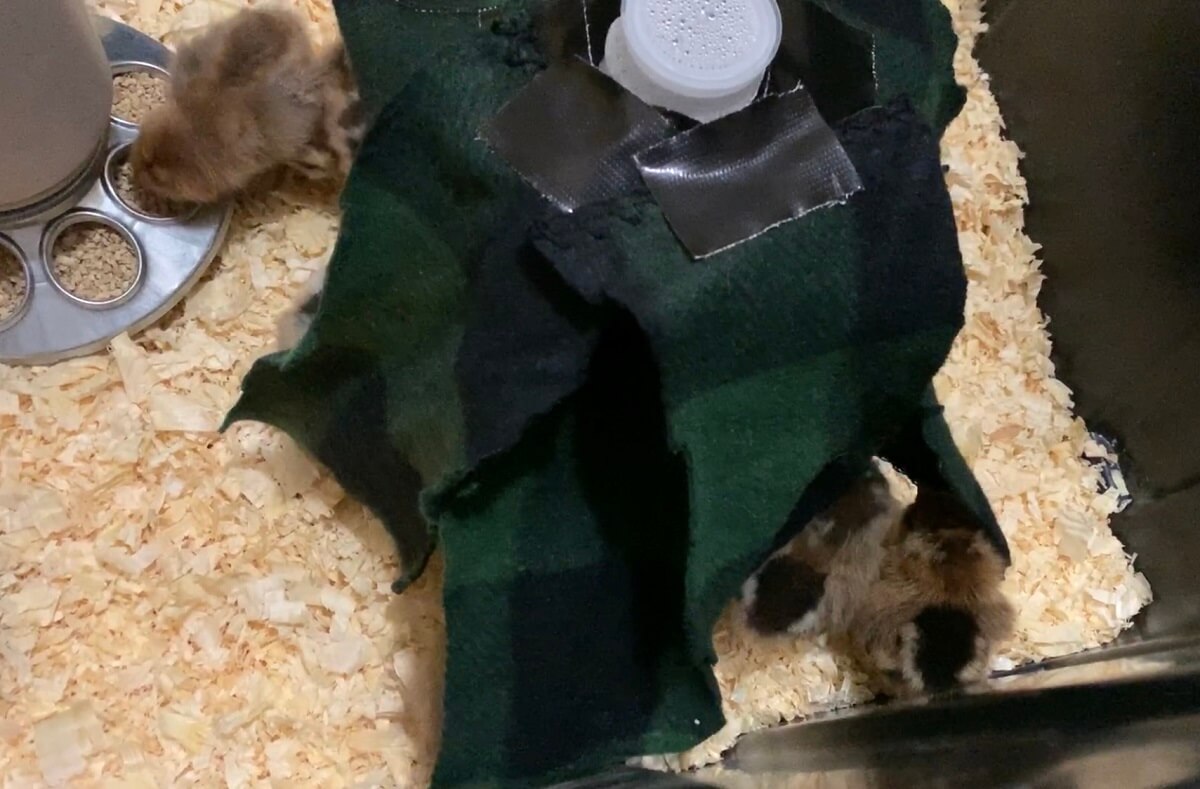 fleece wrapped around water container