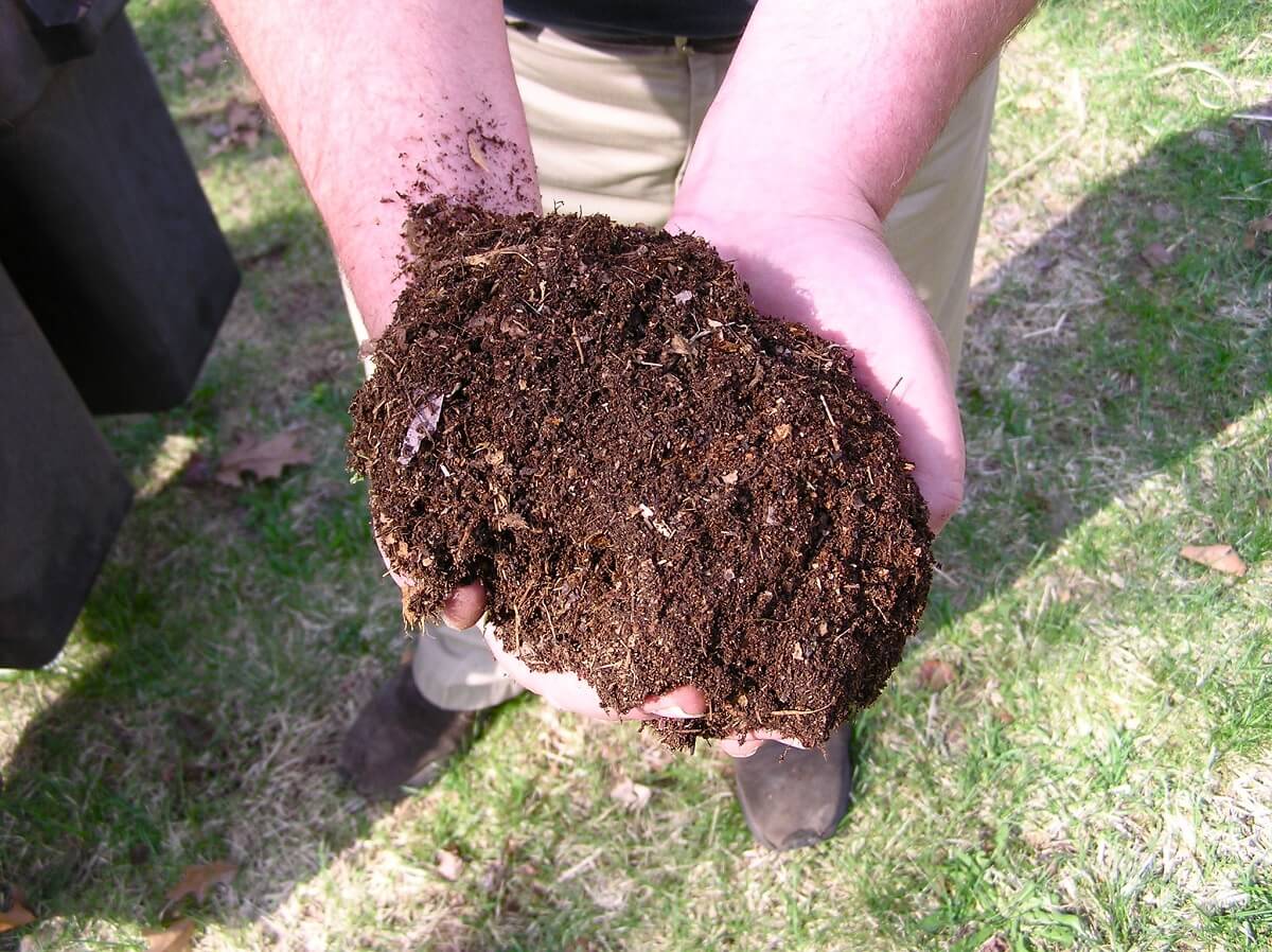 handful of rich soil