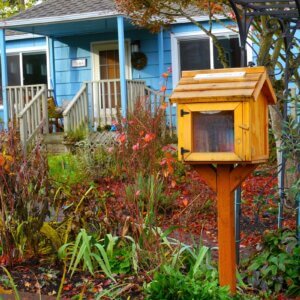 little free library plans