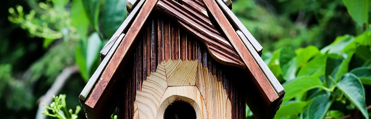 Build A Backyard Birdhouse Diy