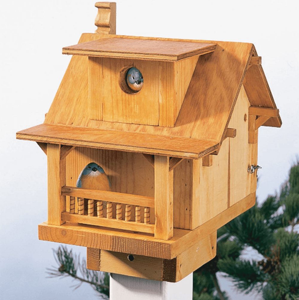 25 Free Bird House Plans to Welcome Feathered Friends to Your Garden • Insteading