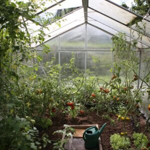 best greenhouse kit