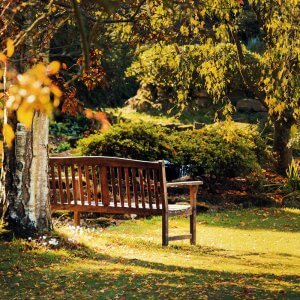 garden bench plans