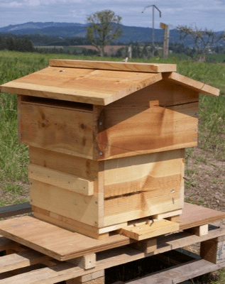 budget-friendly-warre-hive