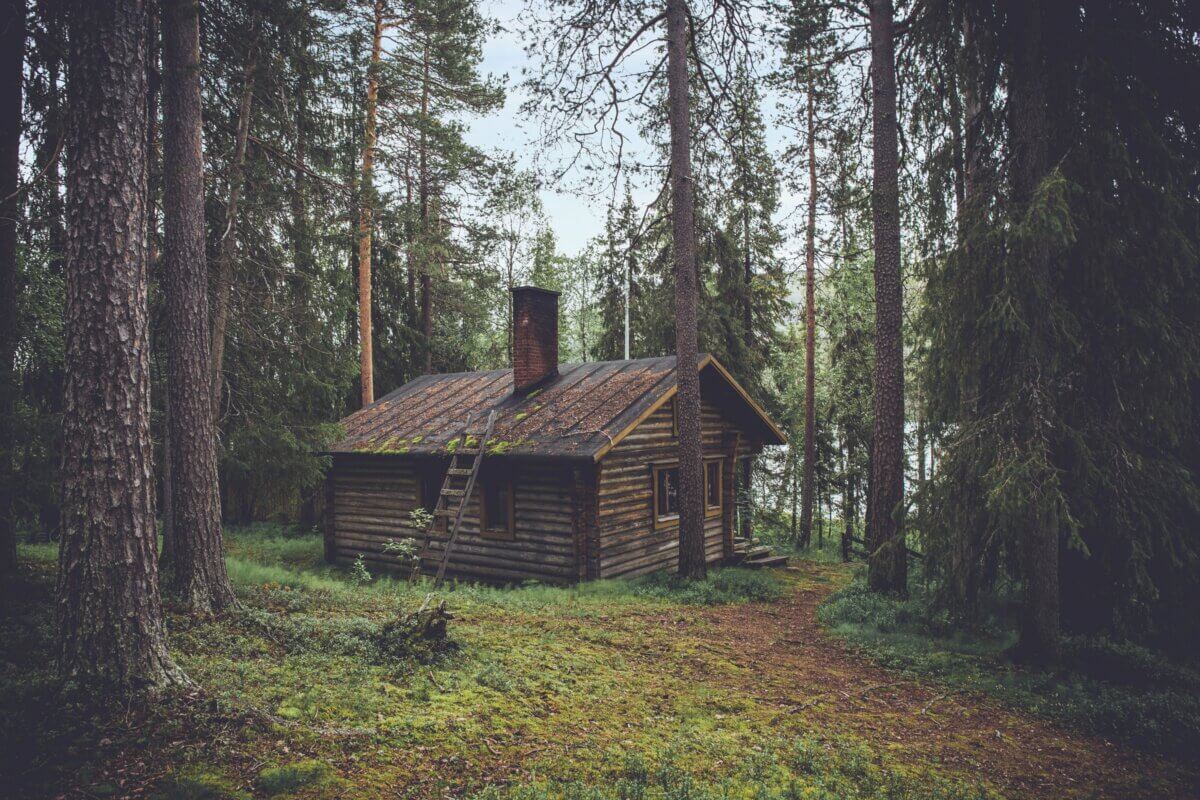 diy cabin in the woods
