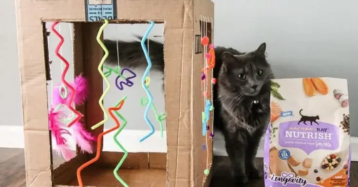 The Glam Cat: DIY Cat Puzzle Tutorial