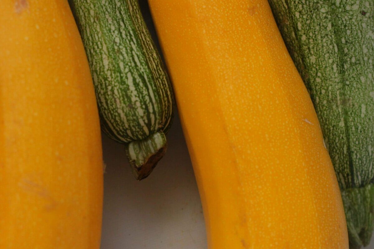 fotografia de close-up de vegetais amarelos e verdes