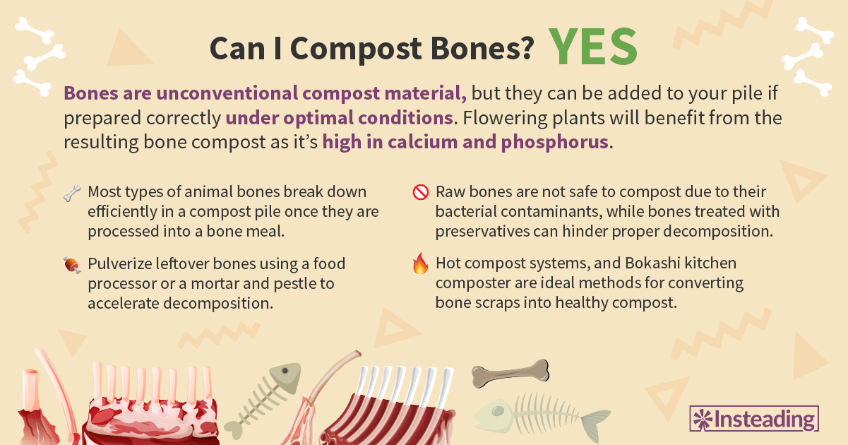 Can You Compost Bones? Unlock the Secrets to Successful Bone Composting