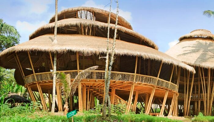 bamboo building