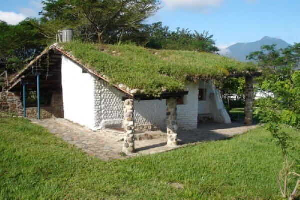house with green roof