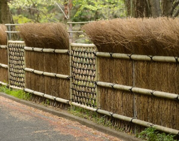 brushwood fence