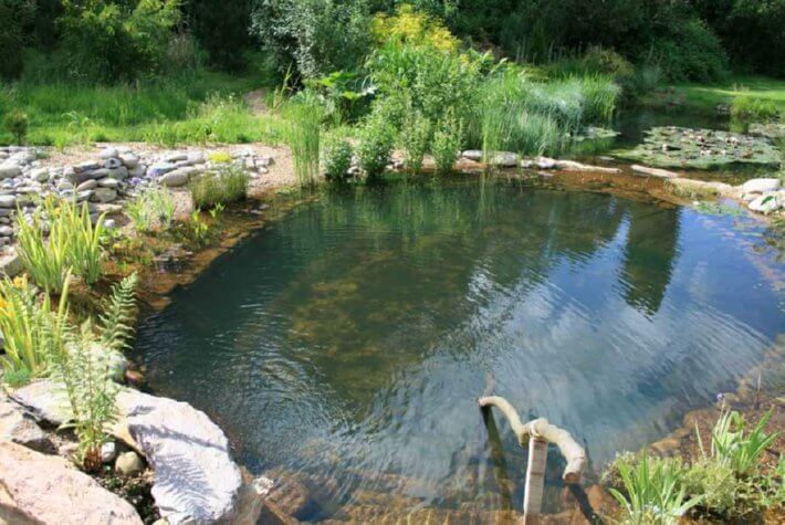 natural pool