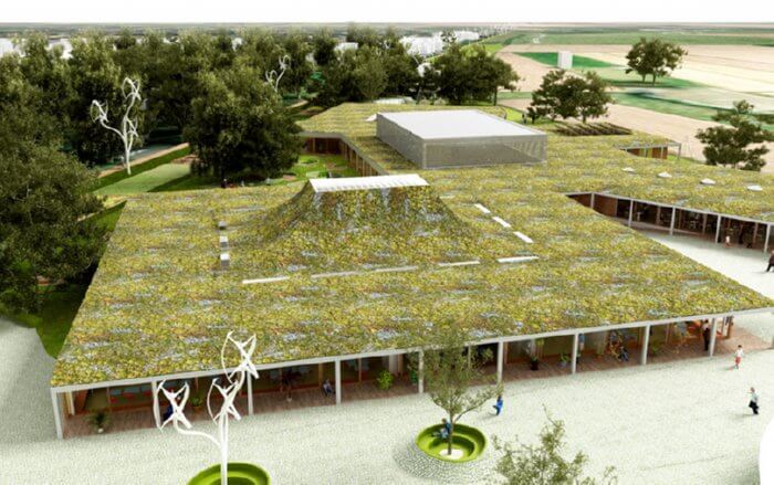 green roofed school