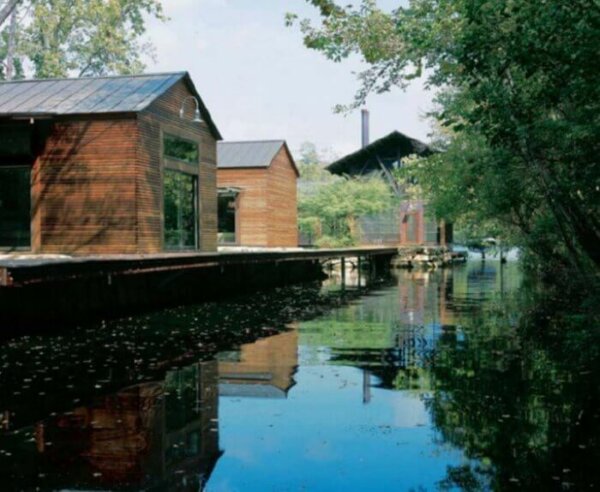 lake-austin-lakeflato-architects-swamp-behind-the-house