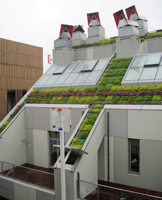 urban green roof