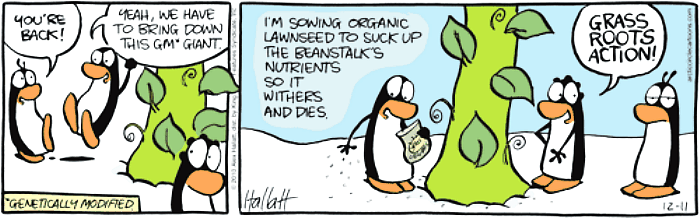 organic-lawn-seed