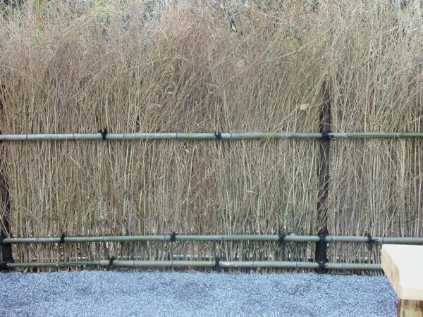 brushwood fence